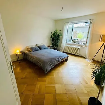 Cozy Central 1bd Fast Wifi Apartment Bern
